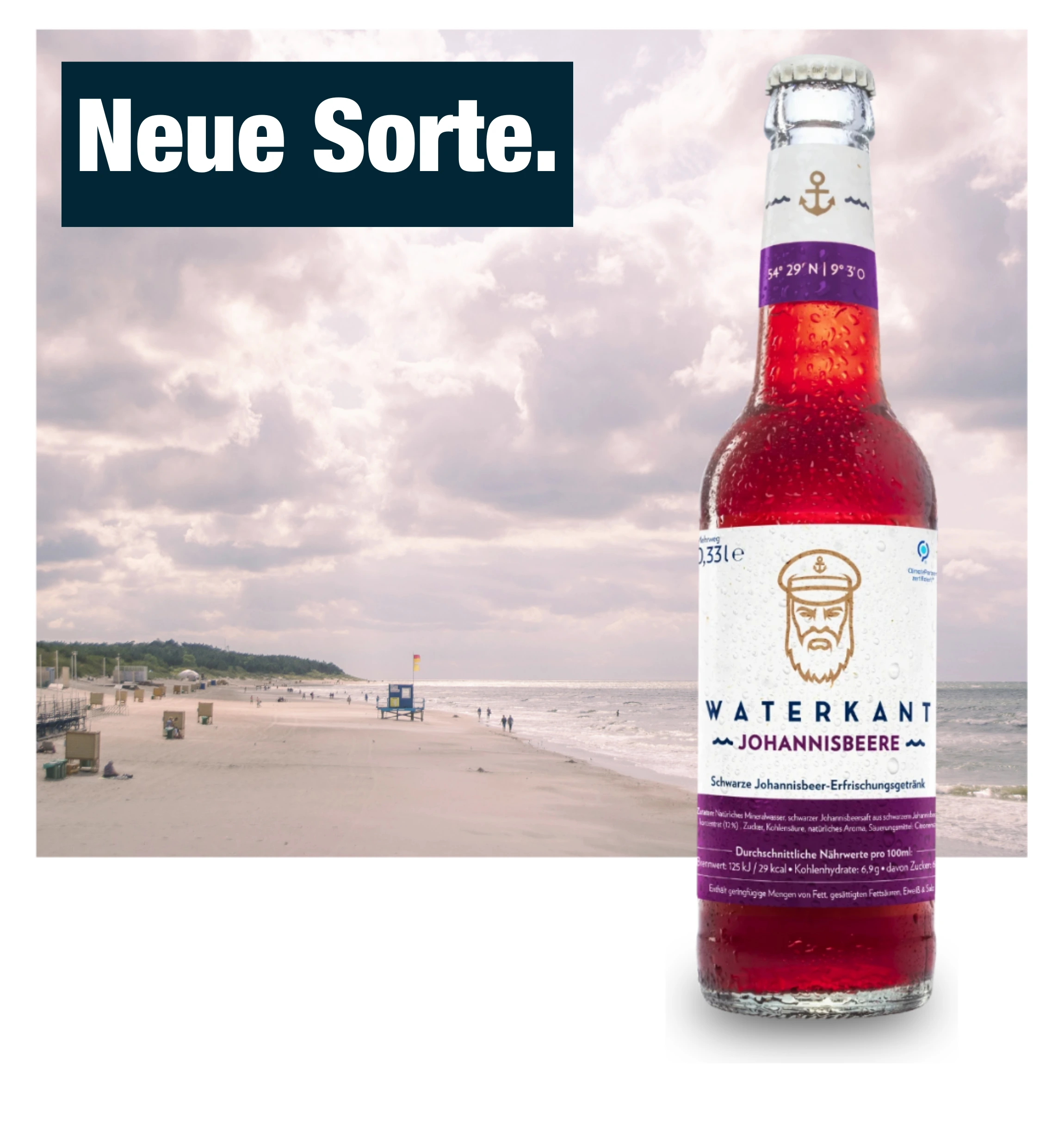 WATERKANT SCHWARZE JOHANNISBEERE